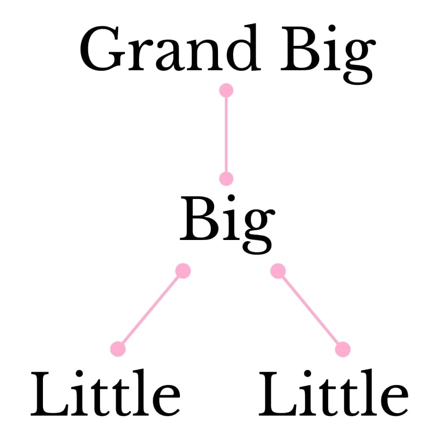 This is a diagram of a more complex sorority family tree. In this diagram, the Grand Big is at the top and then she has one little, which on the diagram is labeled as "Big." Then from "Big" it branches off into two to represent her two Littles.