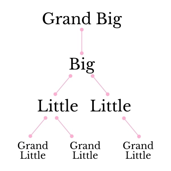 This is a diagram of what a typical sorority family tree would look like. There is a Grand Big who is at the top, followed by her little, which is labeled as "Big" on the diagram. Then from the Big, it branches off to her two Littles and then their respective Grand Littles below. On the diagram, there is one Grand Big, one Big, two of the Big's Littles, and has two littles of her own and the other one has one little and those are labeled as "grand little."