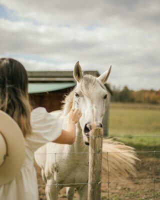a woman petting a white horse behind a fence