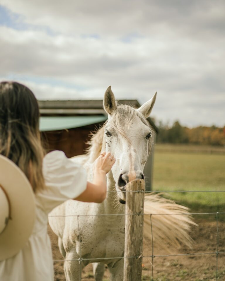 a woman petting a white horse behind a fence